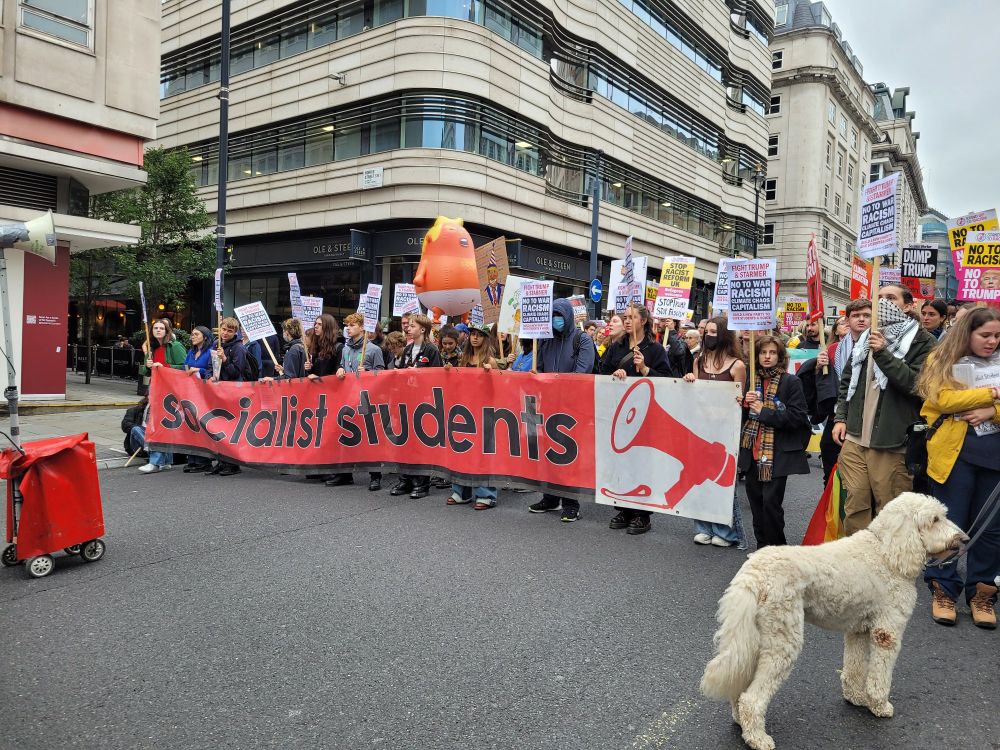 Anti trump march photo with dog 8n foreground 