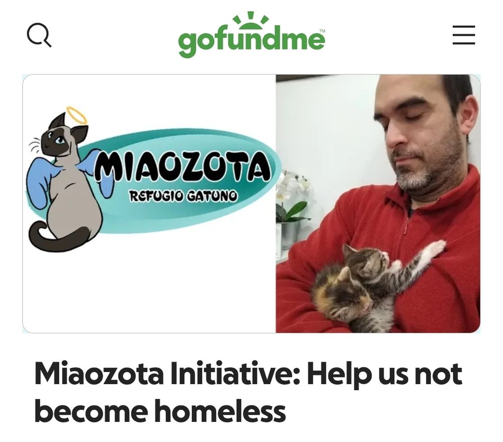 GoFundMe preview image of Da2p's campaign: "Miaozota Initiative: Help us not become homeless"