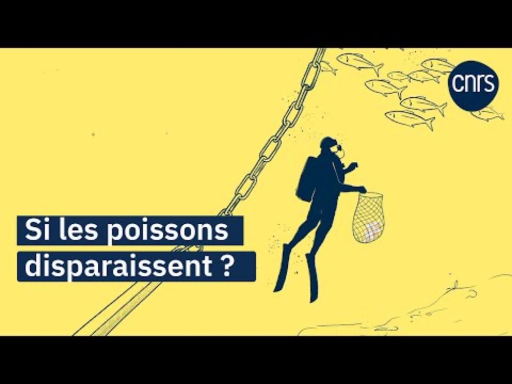 L’océan, une ressource précieuse à préserver I Océan, la science en mouvement