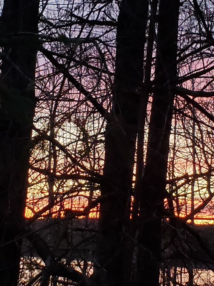 Pretty pink clouds and sun peaking above the hills. All seen through the trees.