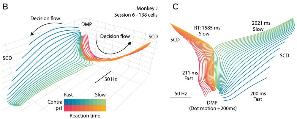 Picture of neural manifolds for the two choices in a decision-making task, depicted in 3D and in 2D
