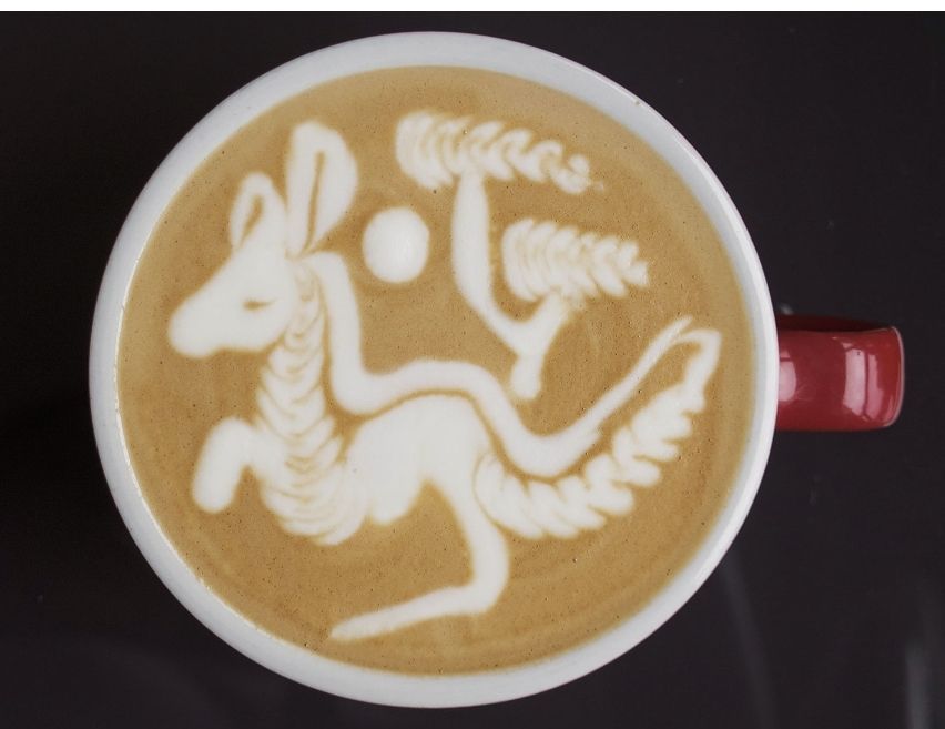 Kangaroo coffee art