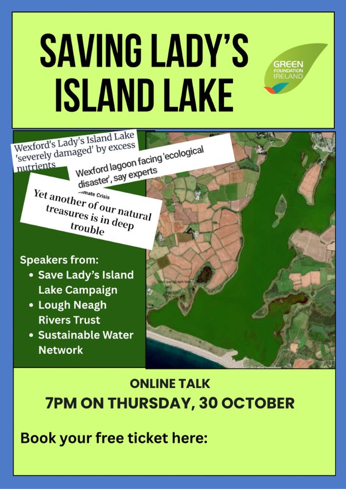 A poster outlining the event which shows an aerial view of the algae on the lake and notes speakers from Save Ladys Island Lake Campaign, Lough Neagh Rivers Trust and Sustainable Water Network will be present. The online talk will happen at 7pm on Thursday 30th October.