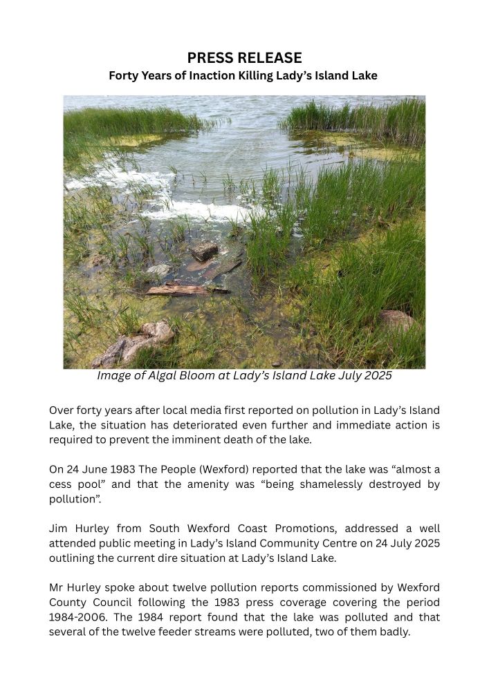 Image of algal bloom on Lady's Island Lake from July this year and text of press release, reading: Over forty years after local media first reported on pollution in Lady’s Island Lake, the situation has deteriorated even further and immediate action is required to prevent the imminent death of the lake. 

On 24 June 1983 The People (Wexford) reported that the lake was “almost a cess pool” and that the amenity was “being shamelessly destroyed by pollution”. 

Jim Hurley from South Wexford Coast Promotions, addressed a well attended public meeting in Lady’s Island Community Centre on 24 July 2025 outlining the current dire situation at Lady’s Island Lake.

Mr Hurley spoke about twelve pollution reports commissioned by Wexford County Council following the 1983 press coverage covering the period 1984-2006. The 1984 report found that the lake was polluted and that several of the twelve feeder streams were polluted, two of them badly.
