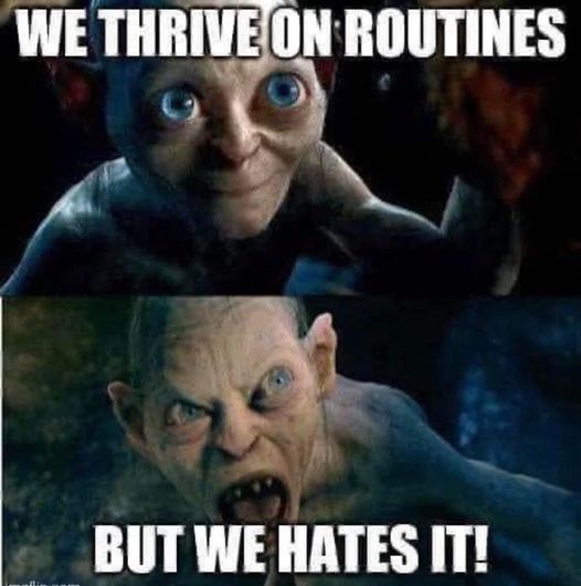 This meme contains two panels. Both have Smeagol/Gollum from The Lord of the Rings/The Hobbit films

Smeagol politely says: "We thrive on routines." 
Gollum then hisses: "But we hates it!"