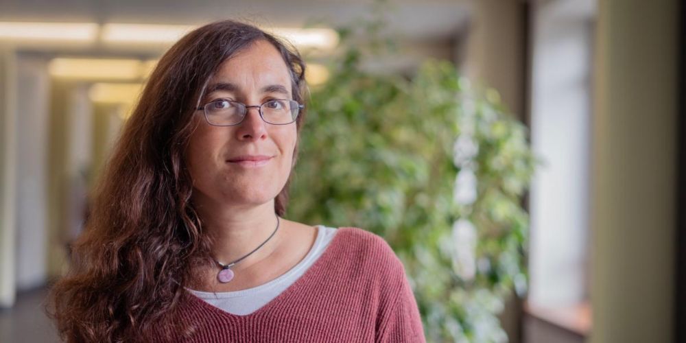 The German Research Foundation (DFG) is funding LMU scientist Anne-Laure Boulesteix: How can we improve research on statistical methods, asks the biostatistician, and thereby also improve their use?