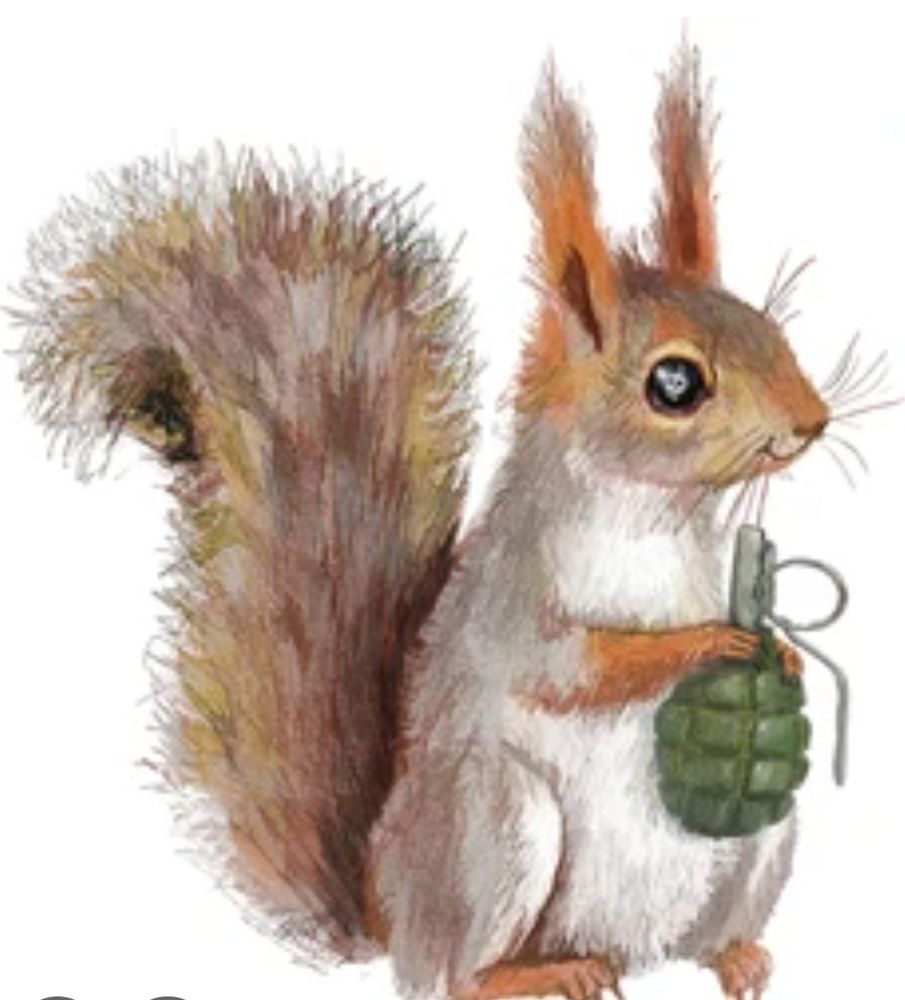 Écureuil avec une grenade 