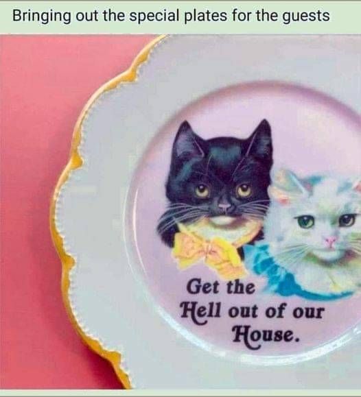 A gilt edged plate with a black kitten wearing a gold bow and a white kitten wearing a blue bow and the text "get the hell out of our house"