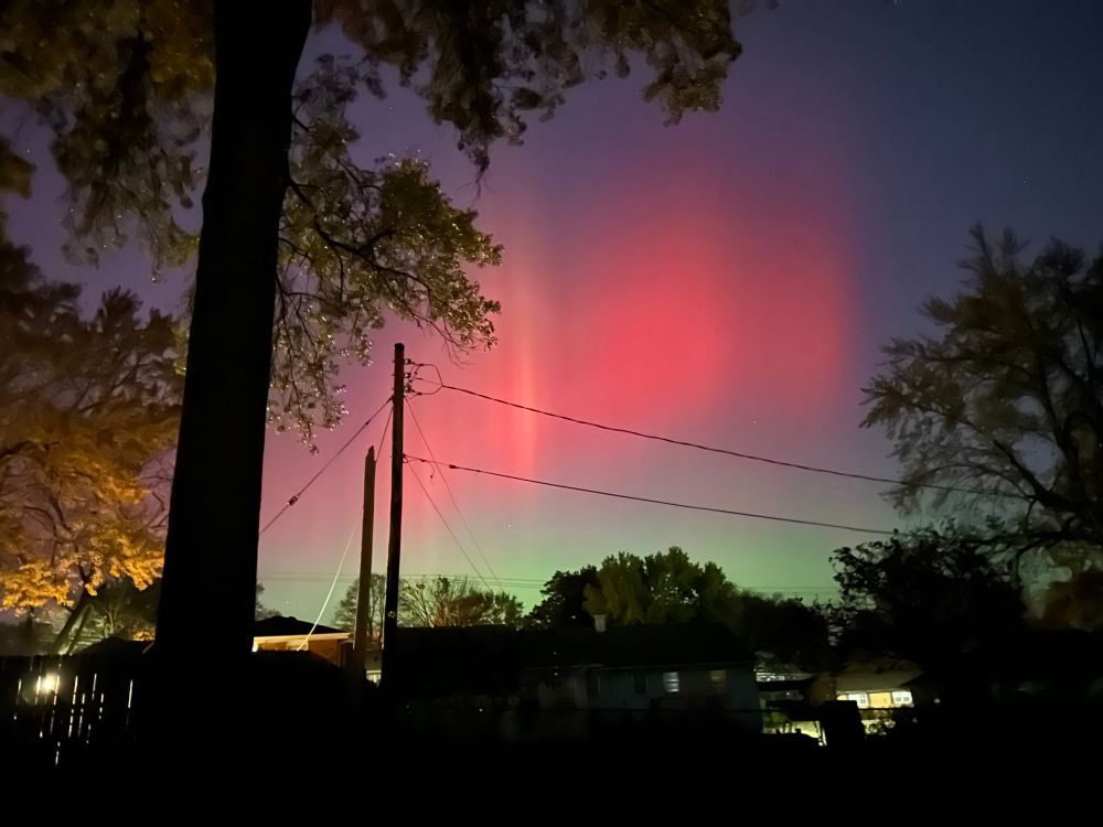 Aurora borealis in pink and green on the horizon with power lines and trees in the foreground. 