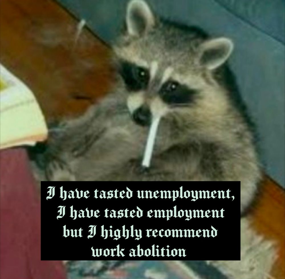 raccoon with a cigarette 

text says I have tasted unemployment, I have tasted employment but I highly recommend work abolition 
