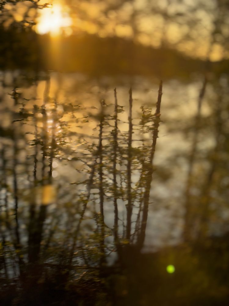 An impressionistic photo from the train to Stockholm of the view at sunset while passing Övre Vekmangeln