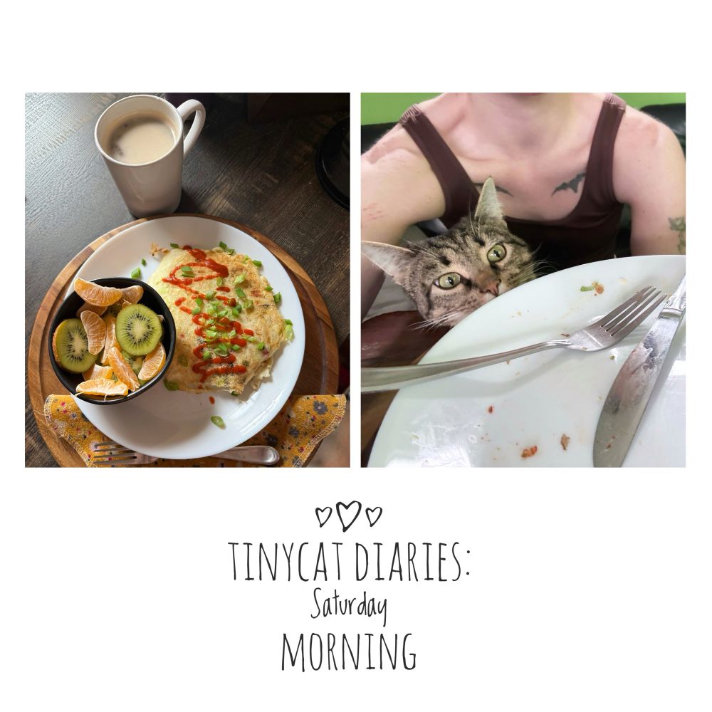 A 2 photo collage with 1 photo featuring a white plate with a potato pancake with sriracha drizzled on top, a small black bowl with kiwis and mandarin oranges and a yellow floral cloth napkin on top of a wooden tray. The 2nd photo is a selfie showing the empty plate and a small brown tabby sitting on a woman’s lap peeking up at the plate. 