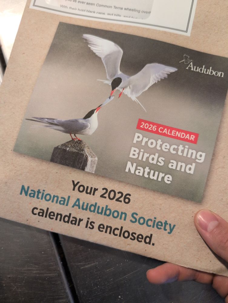 Audubon bird calendar 