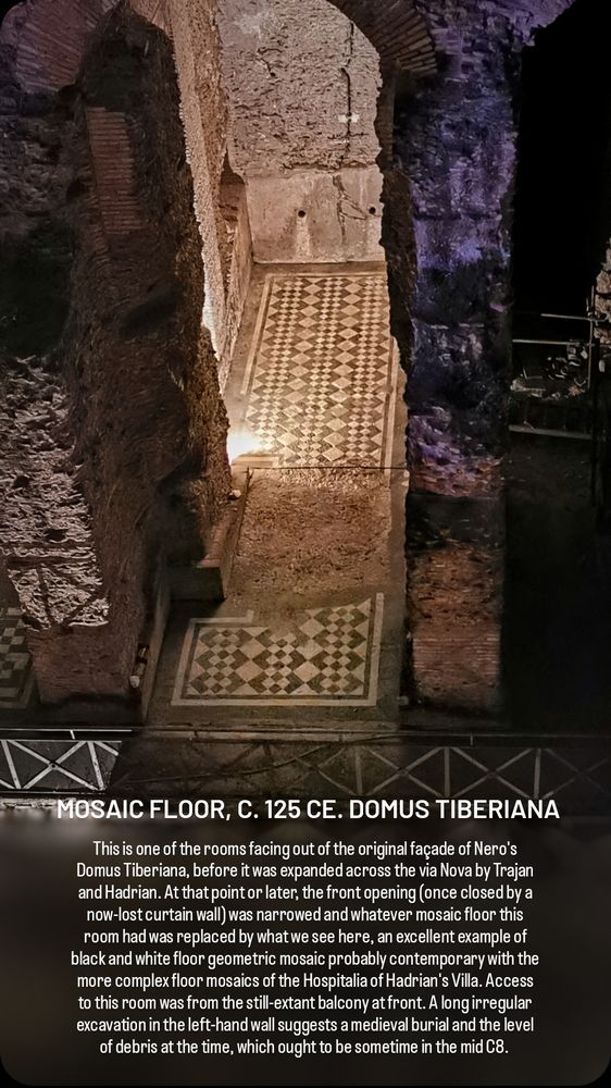 MOSAIC FLOOR, C. 125 CE. DOMUS TIBERIANA

This is one of the rooms facing out of the original façade of Nero's Domus Tiberiana, before it was expanded across the via Nova by Trajan and Hadrian. At that point or later, the front opening (once closed by a now-lost curtain wall) was narrowed and whatever mosaic floor this room had was replaced by what we see here, an excellent example of black and white floor geometric mosaic probably contemporary with the more complex floor mosaics of the Hospitalia of Hadrian's Villa. Access to this room was from the still-extant balcony at front. A long irregular excavation in the left-hand wall suggests a medieval burial and the level of debris at the time, which ought to be sometime in the mid C8.