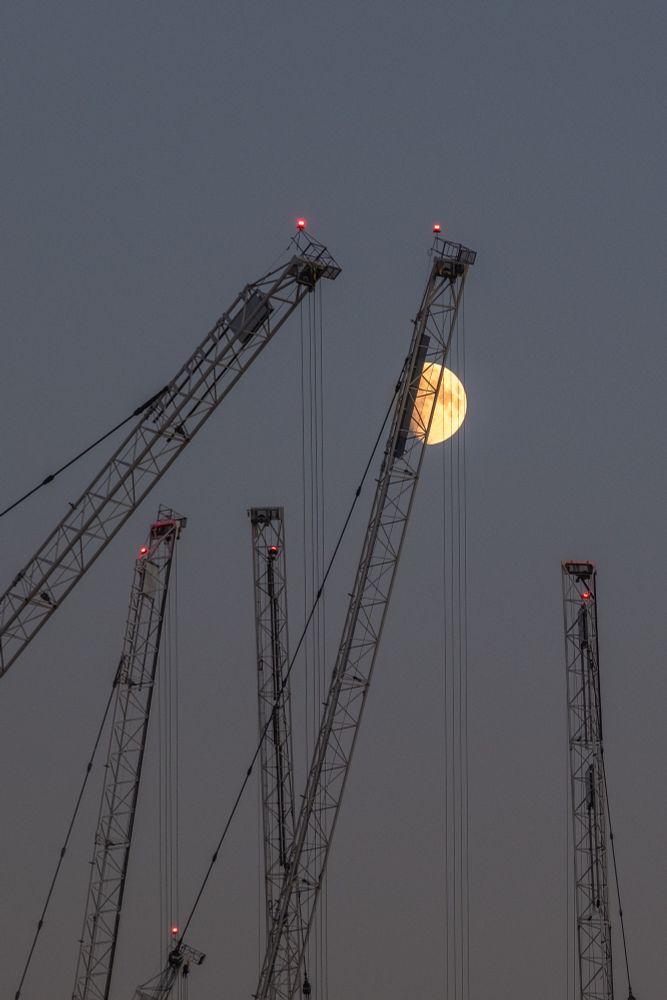 Construction cranes in front of an almost uniform grey late evening sky with a yellow gibbous moon peaking out.