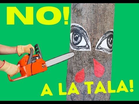 No a la tala!