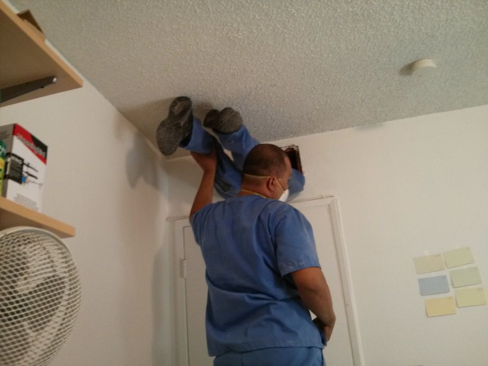 A photo of a corner of a sparsely-decorated white room. A small HVAC vent above the door has been removed, and a worker has squeezed so far inside that only the bottom half of their legs is sticking out. Another worker is helpfully supporting one of the legs. Hollywood air ducts are a lie.