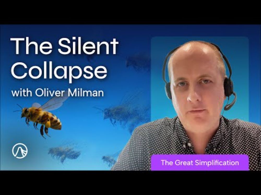 What the Disappearance of Insects Means for Humanity and the Earth with Oliver Milman | TGS 189
