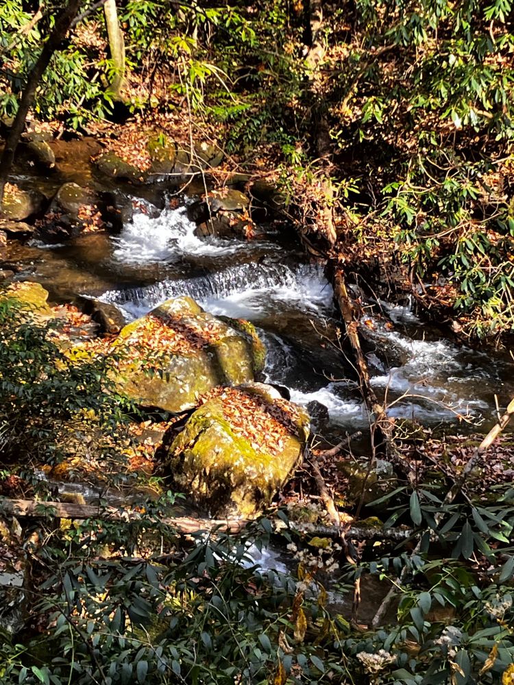 A small waterfall in a creek. The water begins at the upper left and tumbles down two shallow rock steps before continuing on to the right. The creek is surrounded by leaf-litter-covered stones and green vegetation.  