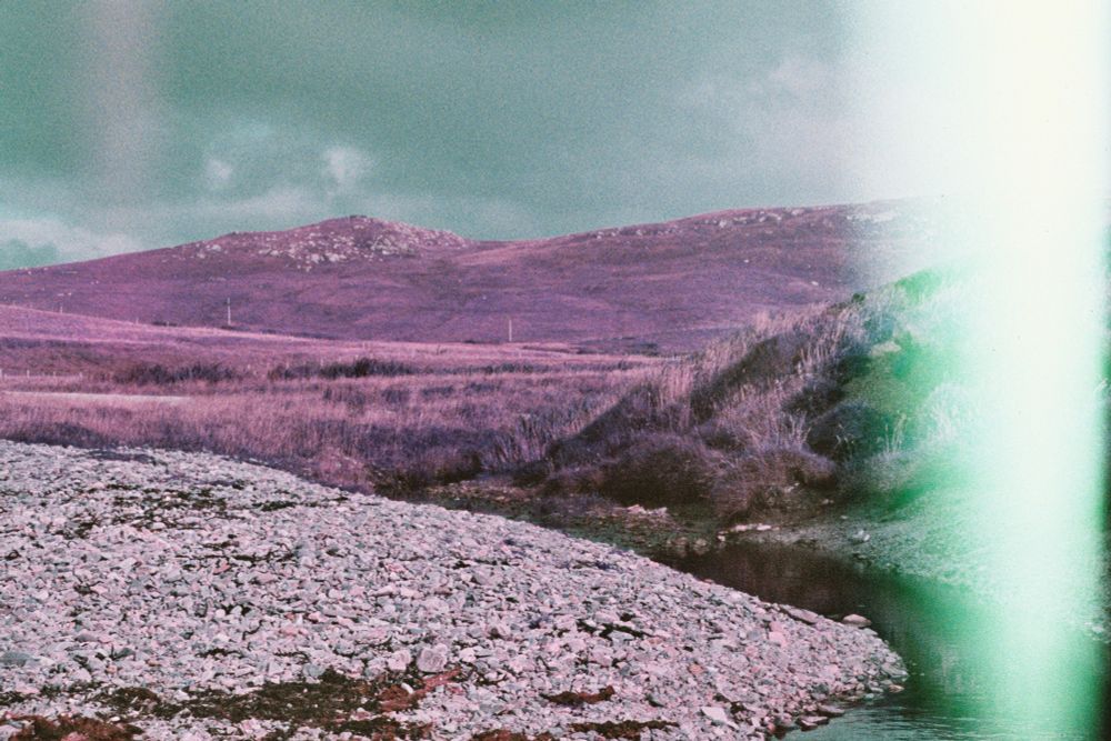 a photo of a rocky beach with purple fields and hills in the background. most of the right side is obscured by a large green-hued light leak.