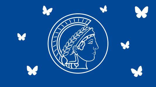 White Minerva logo of the Max Planck Institute for Innovation and Competition surrounded by white Bluesky butterflies on blue background.
