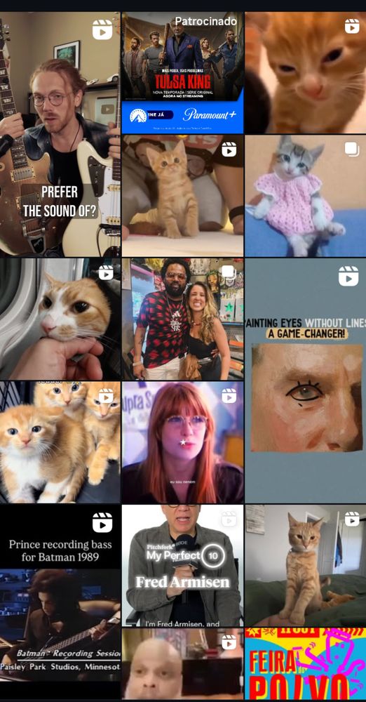 Um mosaico da busca do Instagram com dezenas de imagens de gatos e alguns músicos