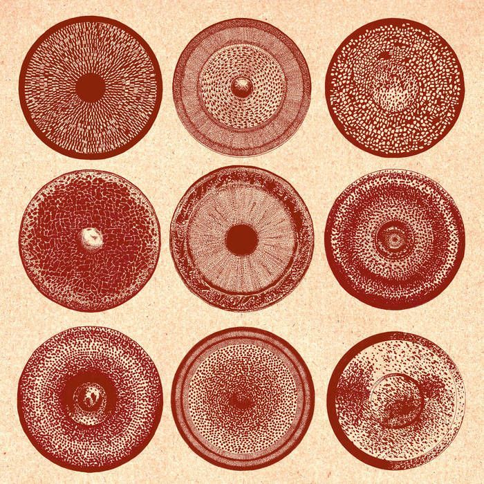 Ensemble Nist-Nah - Spilla album cover. A series of 9 cymbal-like circles.