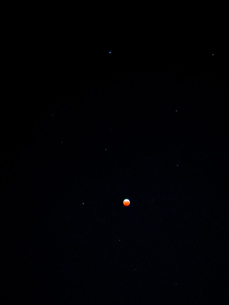 A picture of the blood moon/total eclipse on March 14, 2025. The moon appears red.
