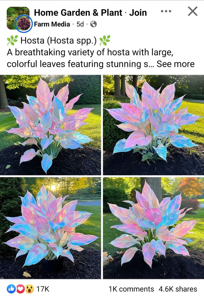 AI generated shiny rainbow plant image on Facebook being passed off as a real plant