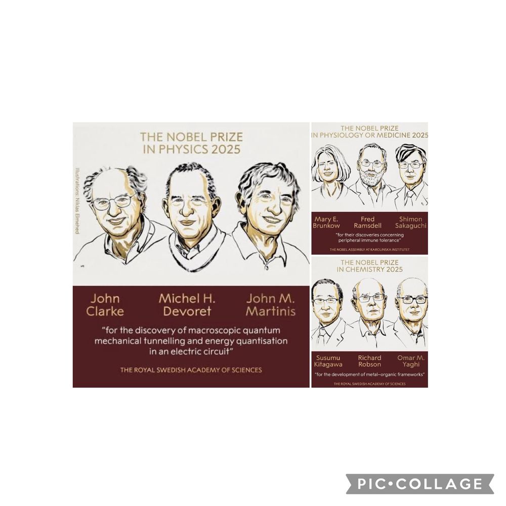 Tämän vuoden fysiikan nobelistit John Clarke, Michel H. Devoret ja John M. Martins, lääketieteen nobelistit Mary E. Brunkow, Fred Ramsdell ja Shimon Sakaguchi sekä kemian nobelistit Susumu Kitagawa, Richard Robson ja Omar M. Yaghi