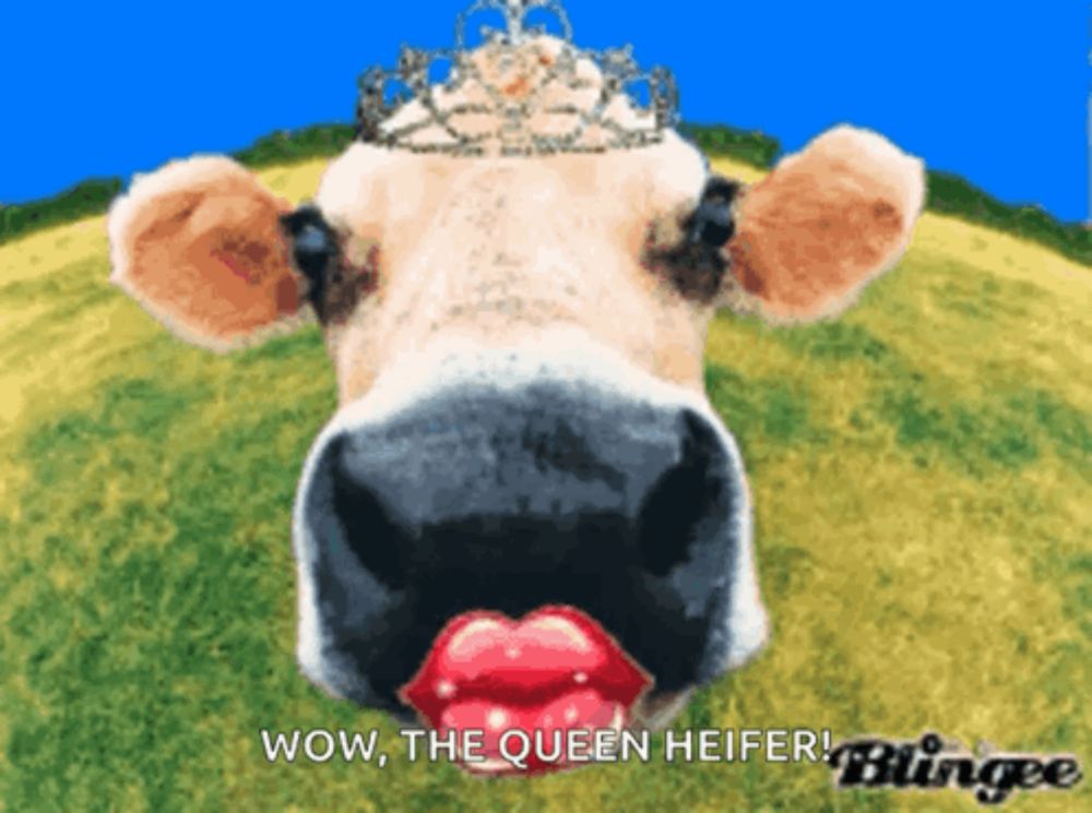 a picture of a cow with a crown on its head and the words wow the queen heifer blingee