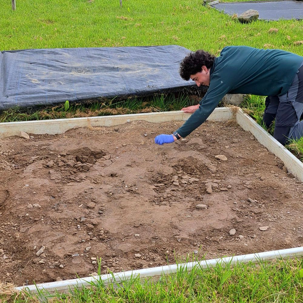 Picture of me removing dry grass that flew in a bare fallow plot when I opened it to do the sampling