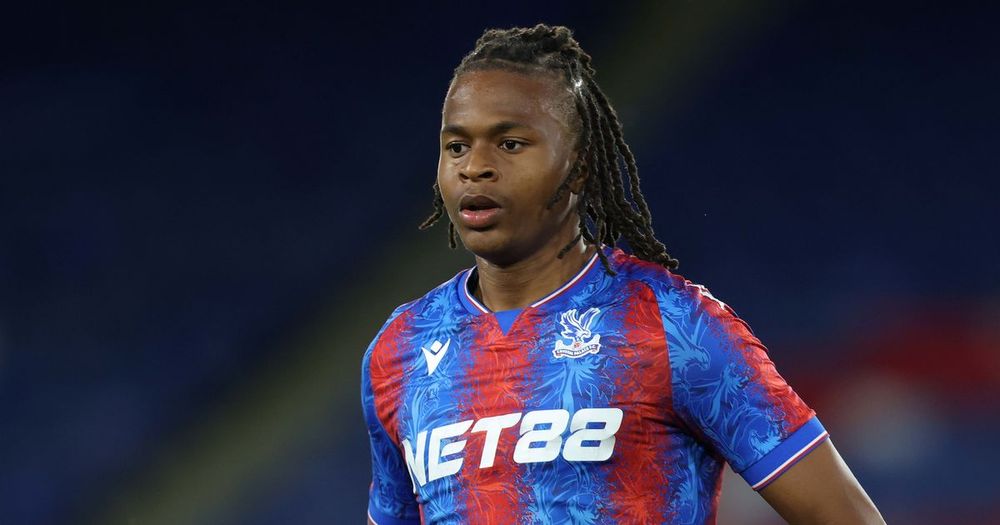 Crystal Palace forward Ademola Ola-Adebomi