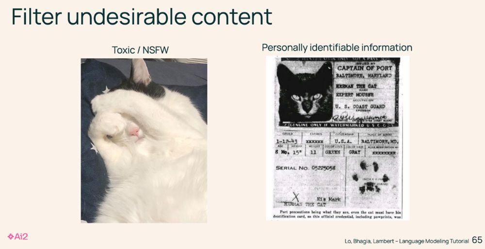 A slide from a presentation. The slide is titled "Filter undesirable content" and then there are two subheadings, "Toxic/NSFW" and "Personally identifiable information," both with funny cat pictures as examples.