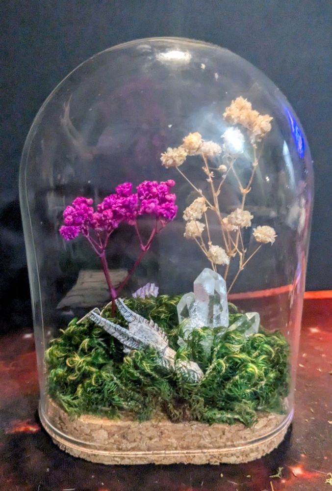 A glass-domed terrarium filled with dried flowers and moss, clear quartz crystals, and a miniature dragon skull.