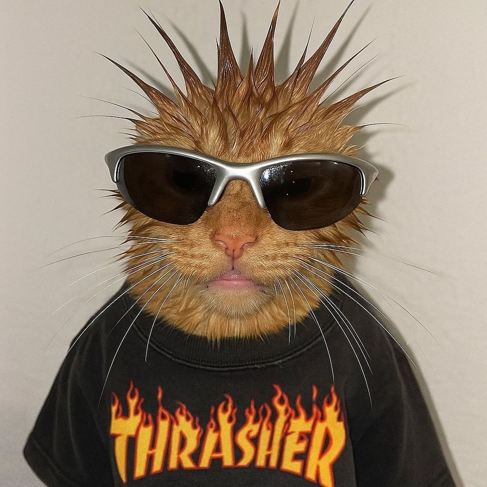 An edited image of an orange cat where the fur on its head is formed into many spikes by getting it wet. It's wearing sunglasses and a black Thrasher T-shirt