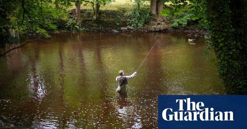 ‘Citizen scientists’ to check UK rivers for sewage and pollution