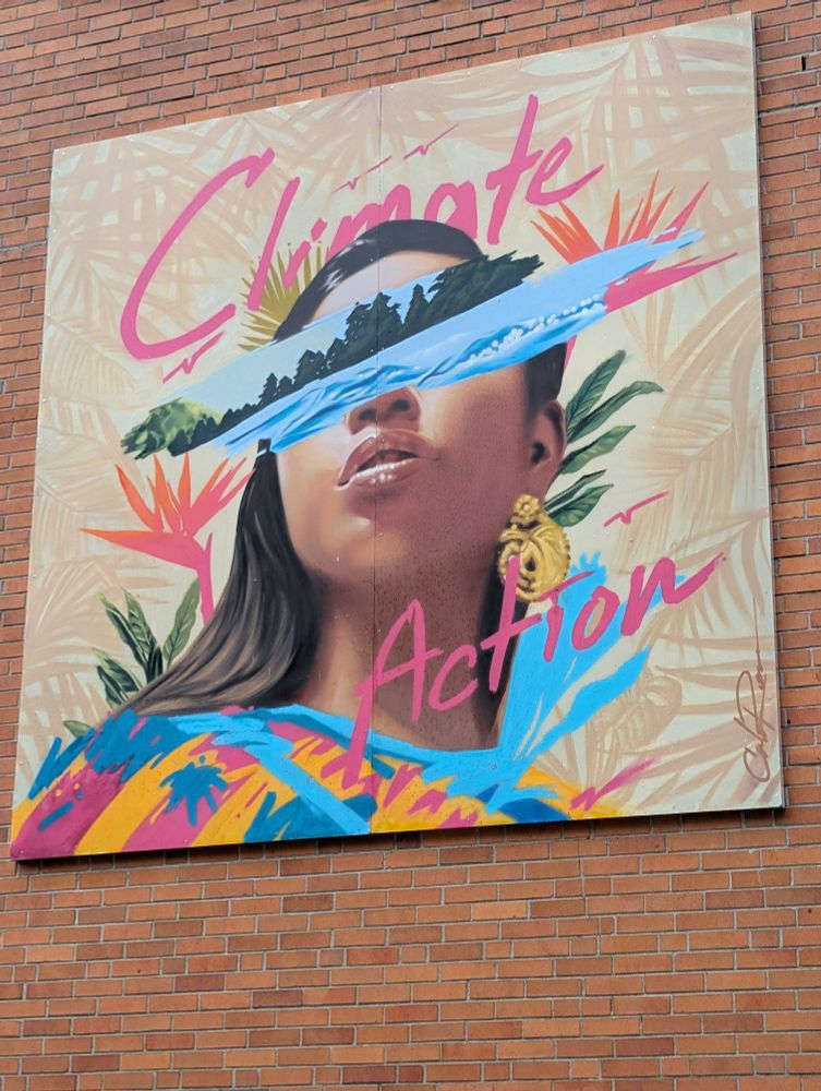 A piece of art on a brick wall that shows a woman's face with the eyes replaced with a strip of natural landscape and the words Climate Action framing it