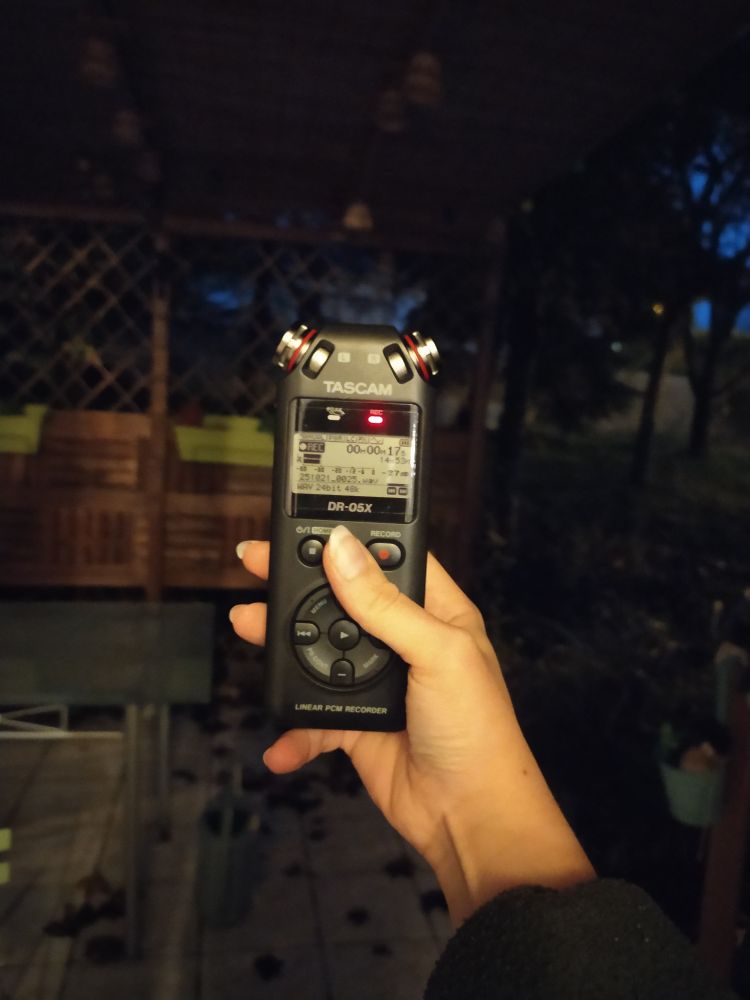 Photo de ma main tenant un enregistreur Tascam DR-05X dans mon jardin, c'est le soir il fait presque nuit