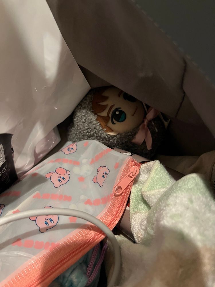 バッグの中の様子。ちびぐるみのまたからがものに圧迫されて潰された後の様子。