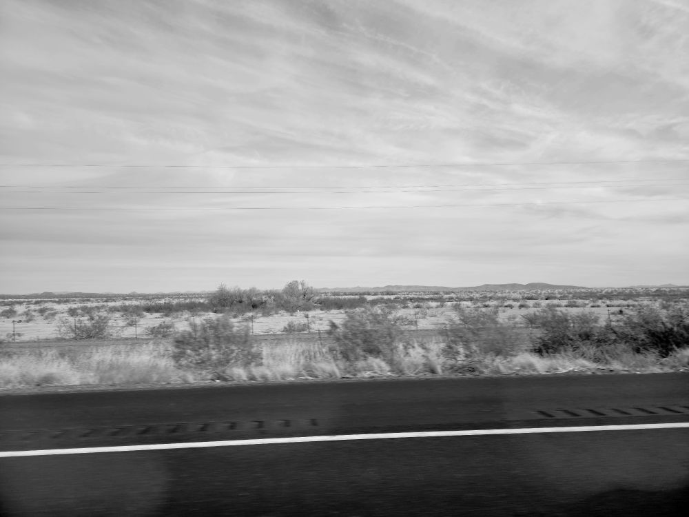 Black and white photo of the American southwest
Bushes and road and large amount of sky