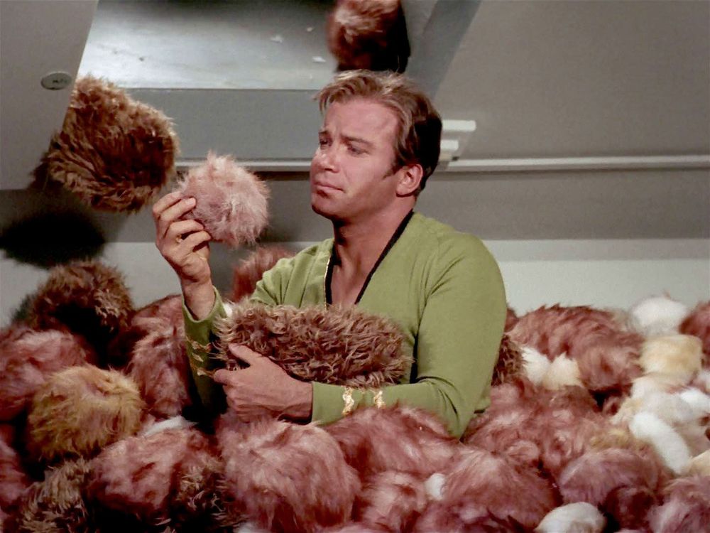Captain Kirk from Star Trek TOS in a pile of brown tribbles. They are a small, furry, gentle, cute and slow-moving, but rapidly reproducing, lovable alien species. Kirk is looking exasperated at a tribble in his hand.