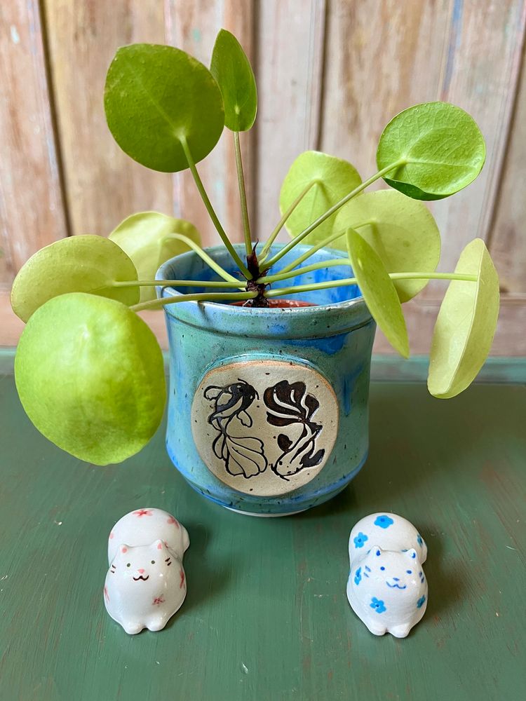 A teal ceramic cup with a pancake plant sits on a sea-green coffee table. The cup has a design of two koi fish. In front are two small, hand-painted, ceramic cats, one with pink flowers and one with blue flowers. There’s an old wooden cabinet with faint teal brush strokes in the background.