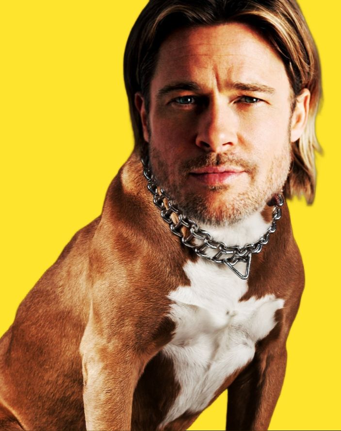 Brad Pitt mais en Pit Bull
