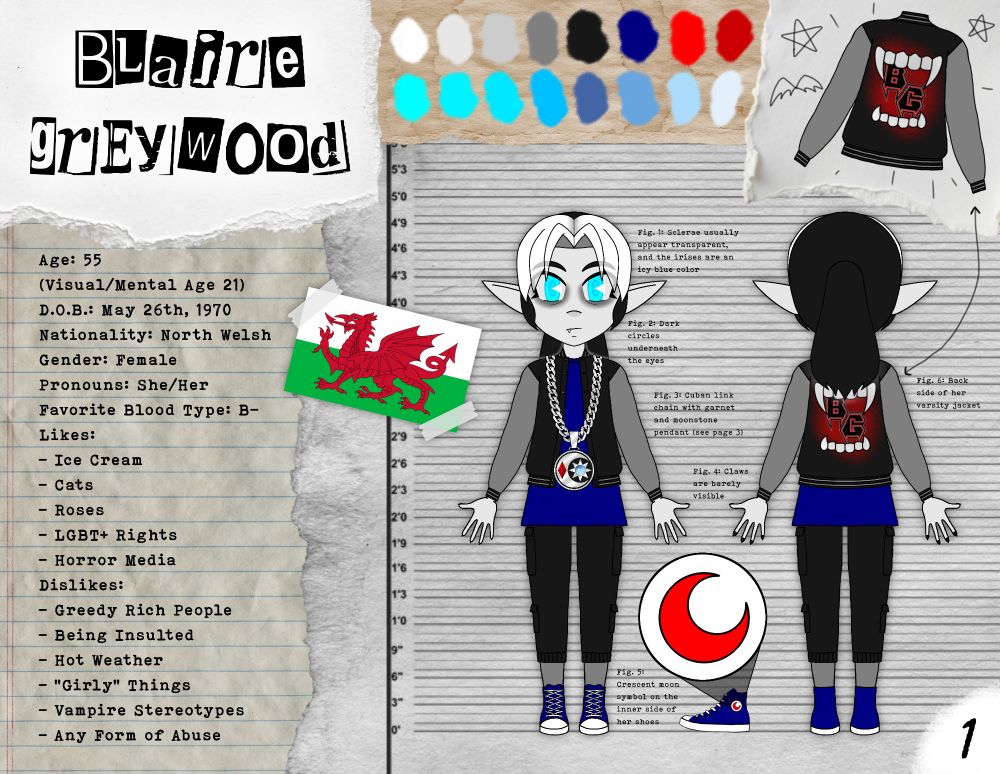 Page 1: Front Page and Basic Info