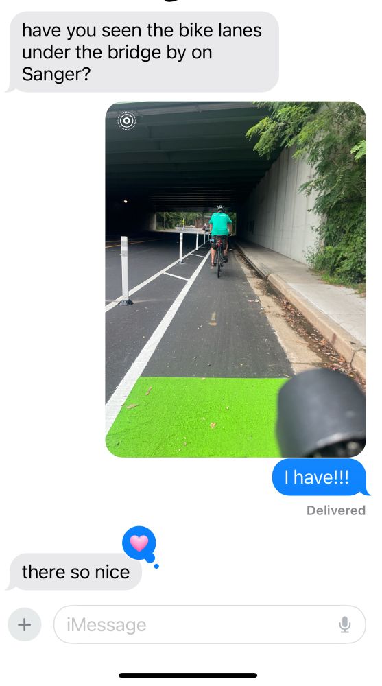 Text exchange with my son

Son: have you seen the bike lanes under the bridge by on Sanger?

Me: (photo of the back of my husband biking on new lanes with flexiposts and green paint) I have!!

Son: there so nice 
