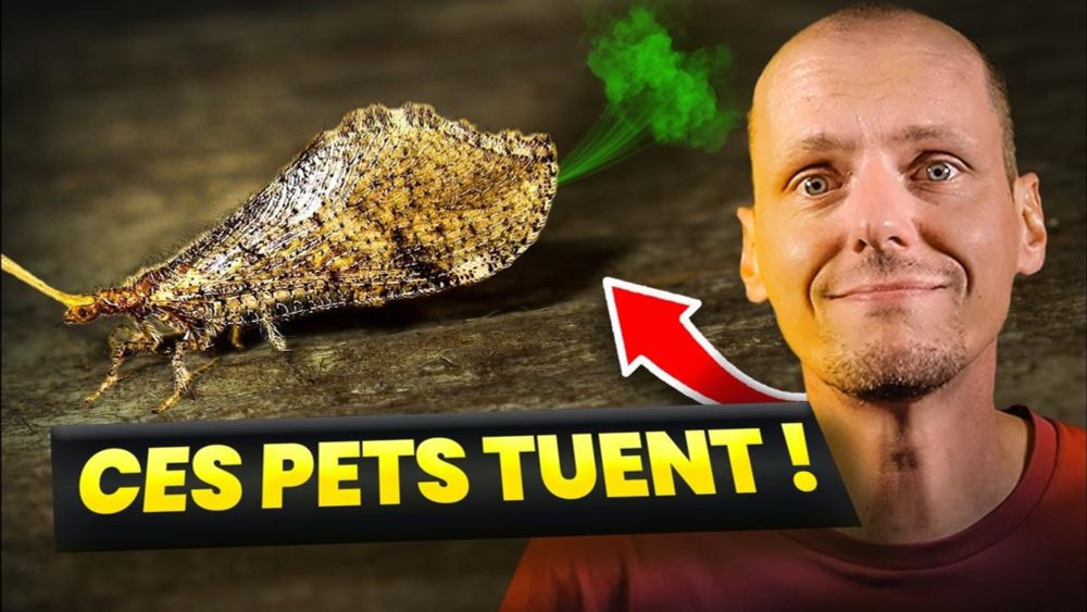 Les 5 pets les plus dangereux du règne animal (6 morts par pet)