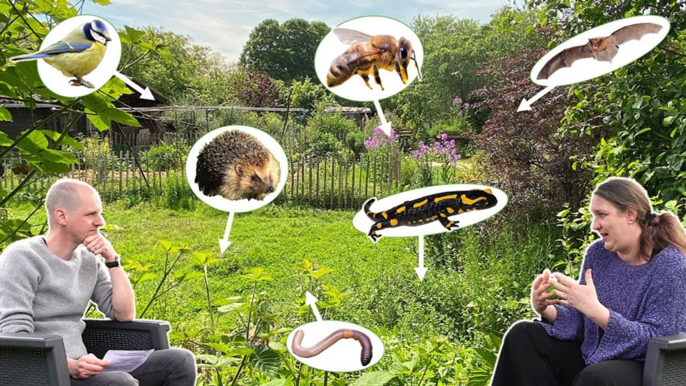 ELLE CRÉE UN JARDIN PLEIN DE VIE (et partage tous ses conseils)