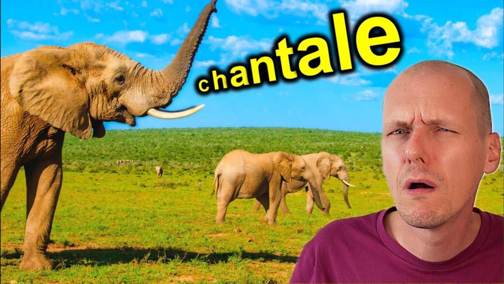 Les éléphants se donnent des prénoms (ACTU SCIENCE)
