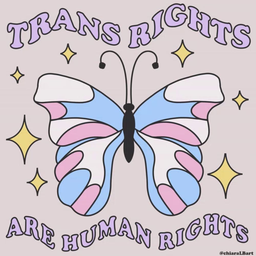 a butterfly with the words " trans rights are human rights "